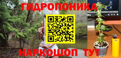 экстази Можга